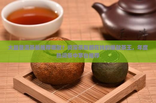 大益普洱茶最推荐哪款？资深茶友都在找的爆款茶王，年度热词茶中茅台推荐