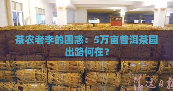 茶农老李的困惑：5万亩普洱茶园出路何在？