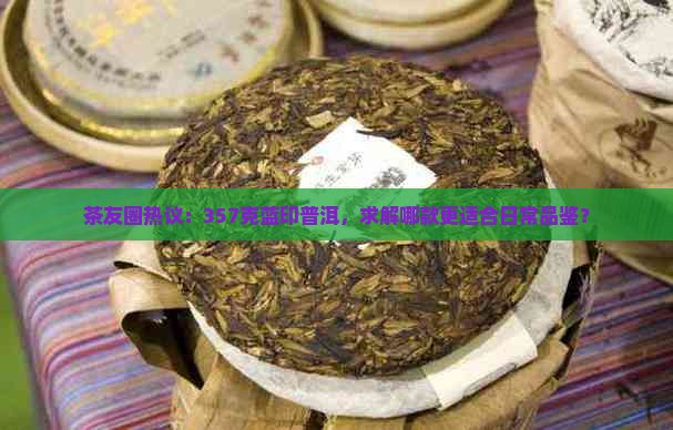 茶友圈热议：357克蓝印普洱，求解哪款更适合日常品鉴？