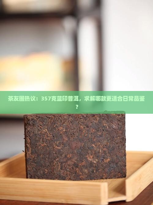 茶友圈热议：357克蓝印普洱，求解哪款更适合日常品鉴？
