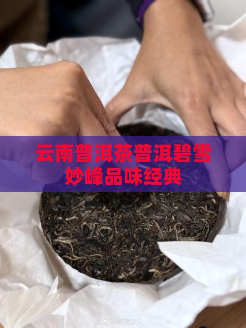 云南普洱茶普洱碧雪妙峰品味经典