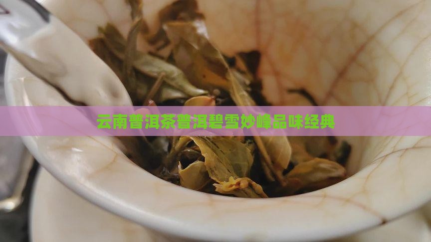 云南普洱茶普洱碧雪妙峰品味经典