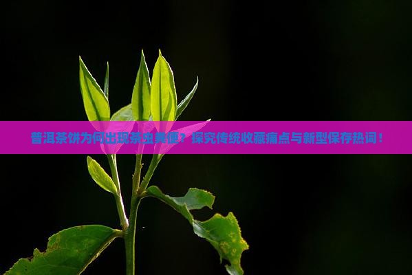 普洱茶饼为何出现茶虫粪便？探究传统收藏痛点与新型保存热词！