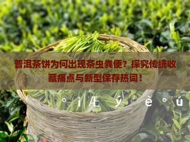 普洱茶饼为何出现茶虫粪便？探究传统收藏痛点与新型保存热词！