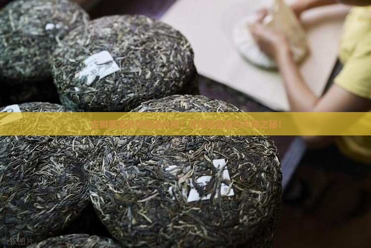 古树普洱茶饼悟道价格？资深茶友圈内不传之秘！