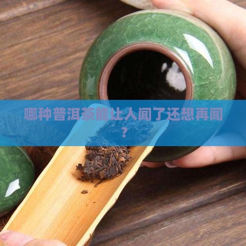 哪种普洱茶能让人闻了还想再闻？