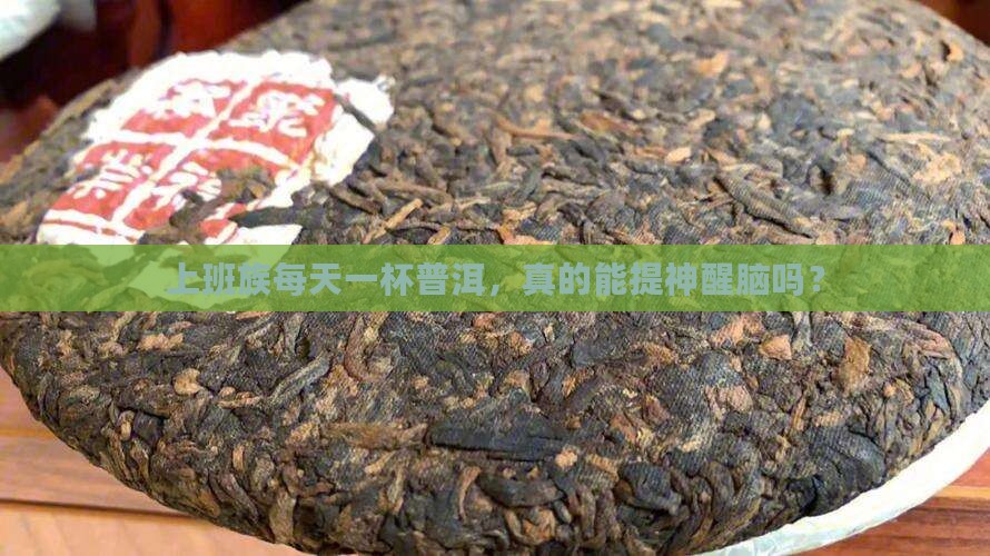 上班族每天一杯普洱，真的能提神醒脑吗？
