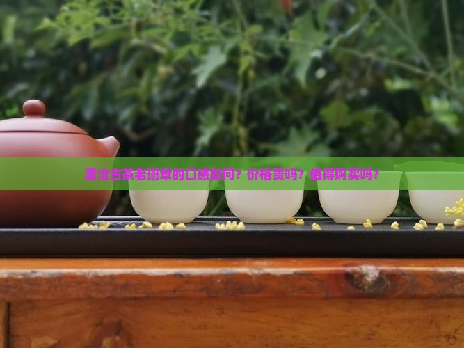 澜沧古茶老班章的口感如何？价格贵吗？值得购买吗？