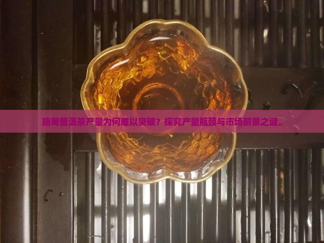 施甸普洱茶产量为何难以突破？探究产量瓶颈与市场前景之谜。