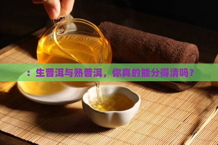 ：生普洱与熟普洱，你真的能分得清吗？