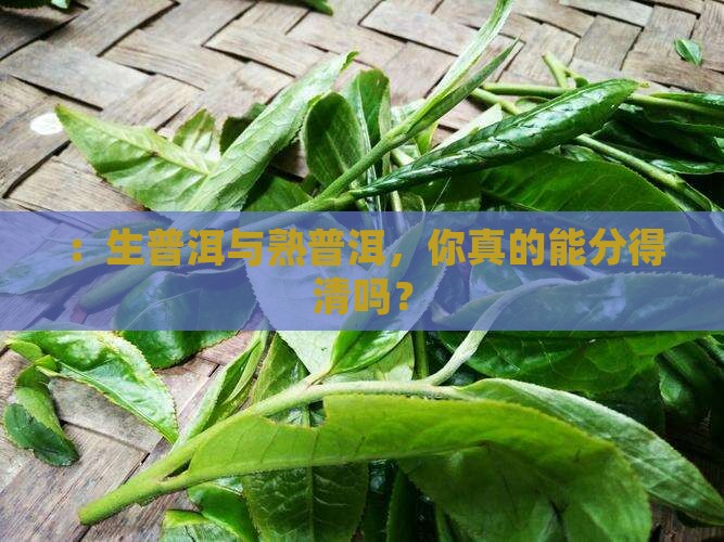 ：生普洱与熟普洱，你真的能分得清吗？