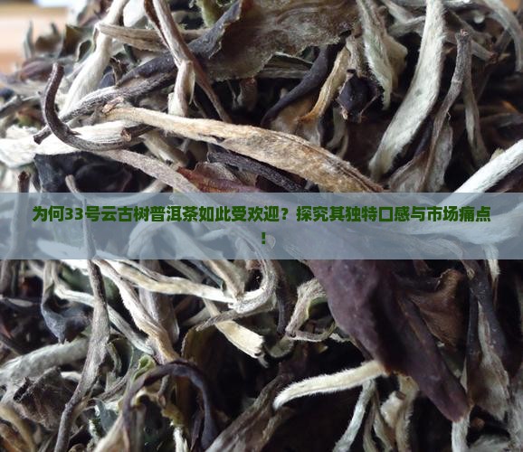 为何33号云古树普洱茶如此受欢迎？探究其独特口感与市场痛点！