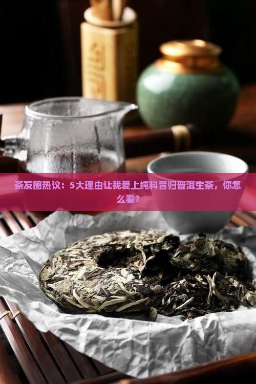 茶友圈热议：5大理由让我爱上纯料昔归普洱生茶，你怎么看？