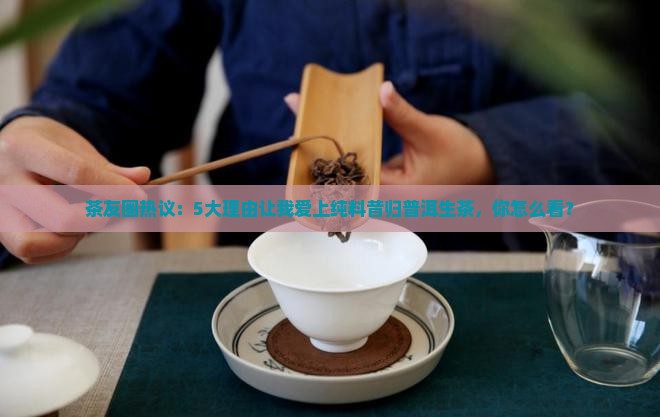 茶友圈热议：5大理由让我爱上纯料昔归普洱生茶，你怎么看？