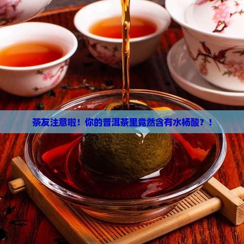 茶友注意啦！你的普洱茶里竟然含有水杨酸？！