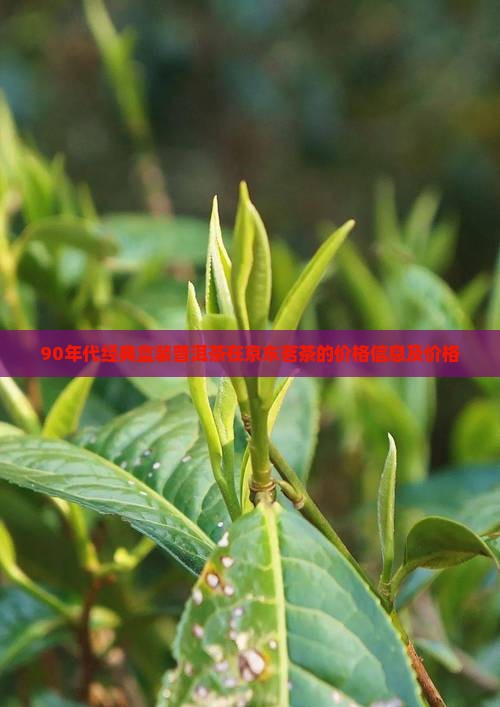 90年代经典盒装普洱茶在京东茗茶的价格信息及价格
