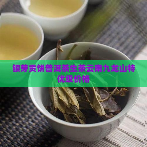 银芽贡饼普洱茶生茶云南九龙山特优级价格