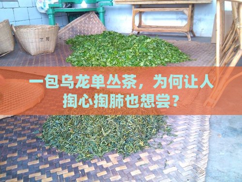 一包乌龙单丛茶，为何让人掏心掏肺也想尝？