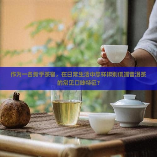 作为一名新手茶客，在日常生活中怎样辨别低端普洱茶的常见口味特征？