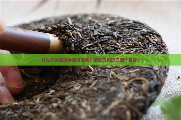 什么样的壶适合泡普洱茶？紫砂壶和瓷壶哪个更好？