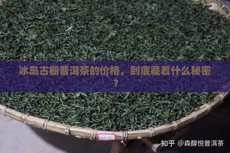 冰岛古橱普洱茶的价格，到底藏着什么秘密？