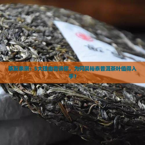 茶友亲测：5大理由告诉你，为何吴裕泰普洱茶叶值得入手？