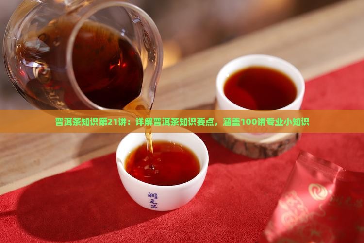 普洱茶知识第21讲：详解普洱茶知识要点，涵盖100讲专业小知识