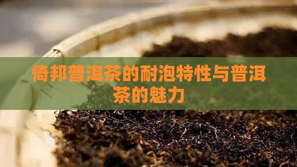 倚邦普洱茶的耐泡特性与普洱茶的魅力