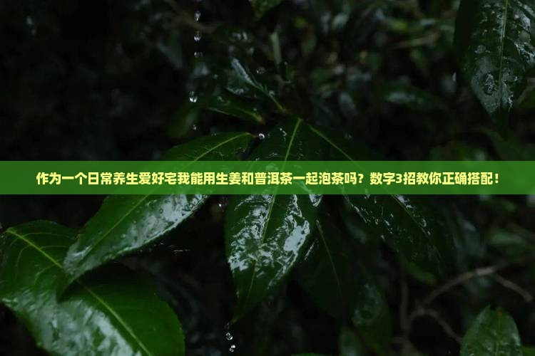 作为一个日常养生爱好宅我能用生姜和普洱茶一起泡茶吗？数字3招教你正确搭配！