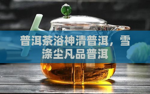 普洱茶浴神清普洱，雪涤尘凡品普洱