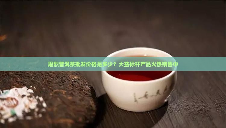 磨烈普洱茶批发价格是多少？大益标杆产品火热销售中