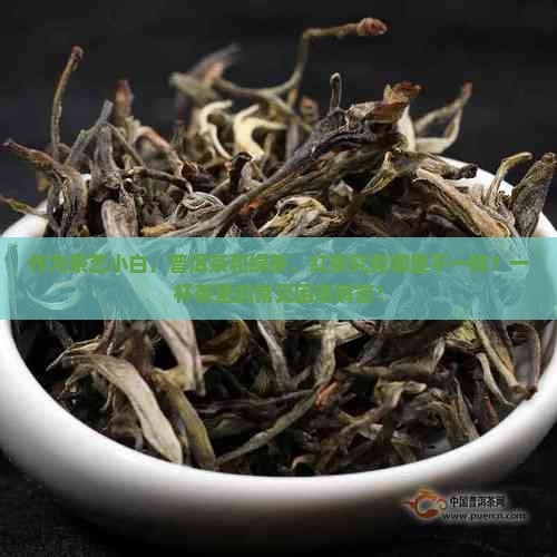 作为茶艺小白，普洱茶和绿茶、红茶究竟哪里不一样？一杯茶里的常见困惑解答！