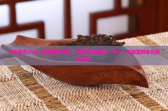 作为茶艺小白，普洱茶和绿茶、红茶究竟哪里不一样？一杯茶里的常见困惑解答！