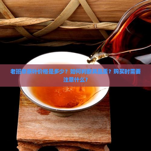 老班章茶叶价格是多少？如何判断其品质？购买时需要注意什么？