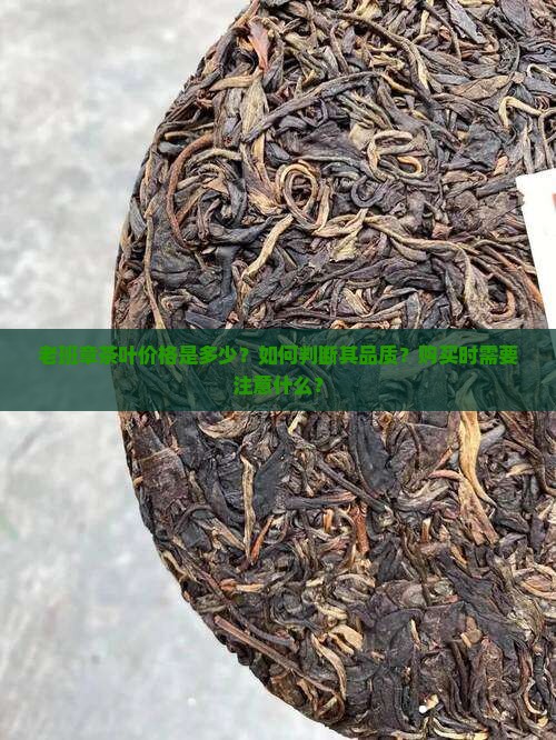 老班章茶叶价格是多少？如何判断其品质？购买时需要注意什么？