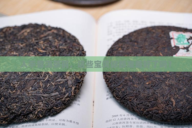 入手普洱茶前，这些宝贝你都准备好了吗？