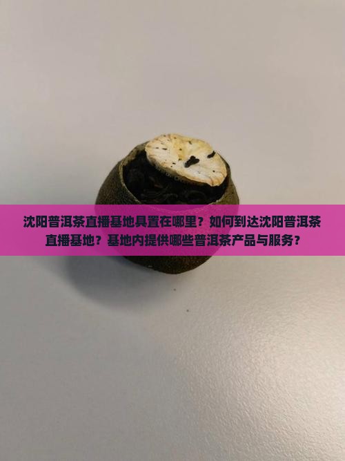 沈阳普洱茶直播基地具置在哪里？如何到达沈阳普洱茶直播基地？基地内提供哪些普洱茶产品与服务？
