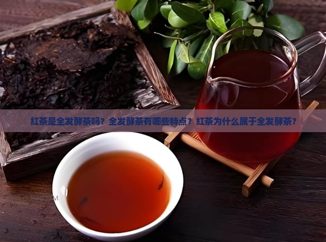 红茶是全发酵茶吗？全发酵茶有哪些特点？红茶为什么属于全发酵茶？