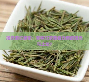 揭开滇红秘密：哪种红茶藏着云南的阳光与土地？