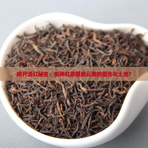 揭开滇红秘密：哪种红茶藏着云南的阳光与土地？