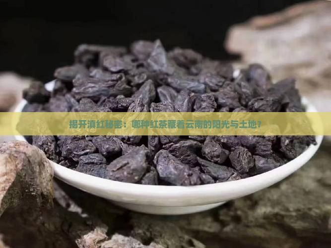 揭开滇红秘密：哪种红茶藏着云南的阳光与土地？
