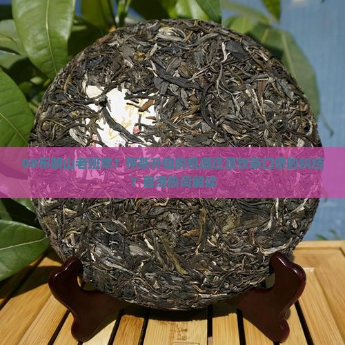 08布朗山老班章？存茶升值的机遇还是饮茶口感的纠结？普洱热词解读