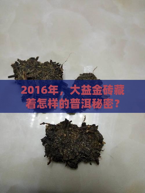2016年，大益金砖藏着怎样的普洱秘密？
