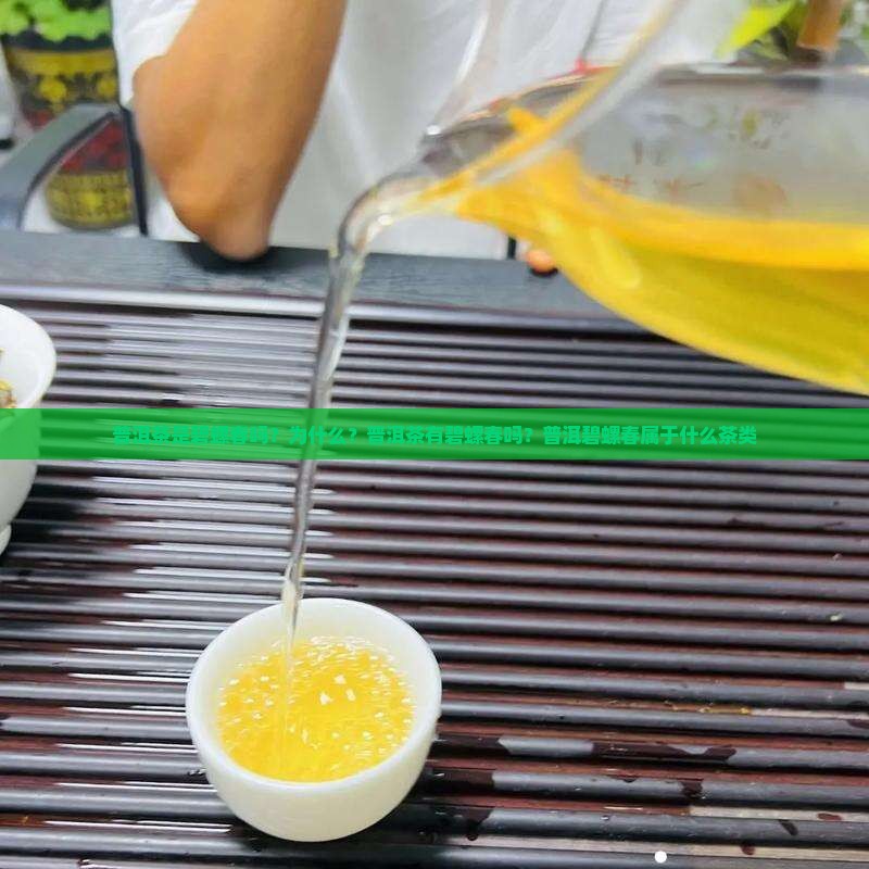 普洱茶是碧螺春吗？为什么？普洱茶有碧螺春吗？普洱碧螺春属于什么茶类