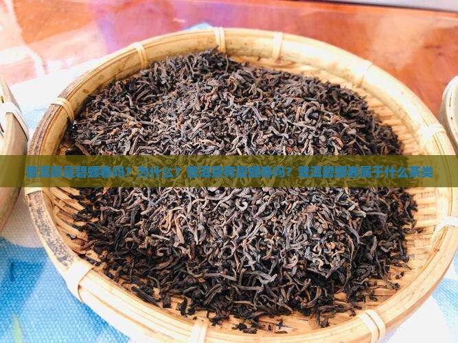 普洱茶是碧螺春吗？为什么？普洱茶有碧螺春吗？普洱碧螺春属于什么茶类