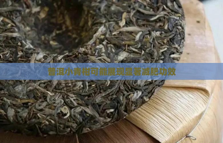 普洱小青柑可能展现显著减肥功效 普洱小青柑可能展现显著减肥功效
