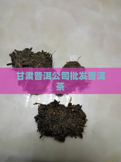 甘肃普洱公司批发普洱茶