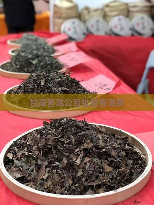 甘肃普洱公司批发普洱茶