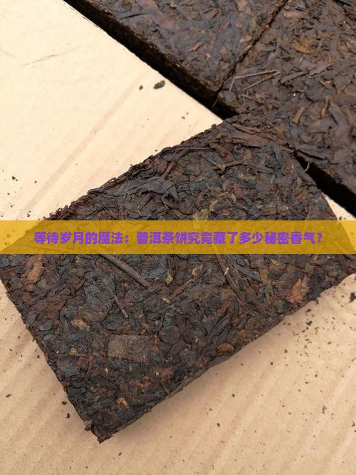 等待岁月的魔法：普洱茶饼究竟藏了多少秘密香气？