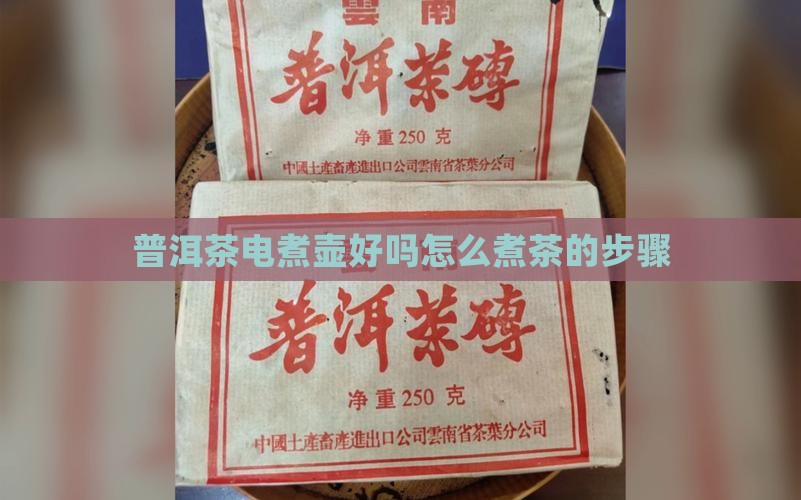 普洱茶电煮壶好吗怎么煮茶的步骤